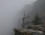 Mount Evans